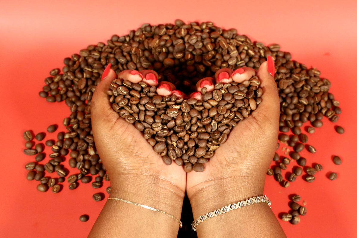 The First Cupping