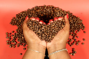 The First Cupping